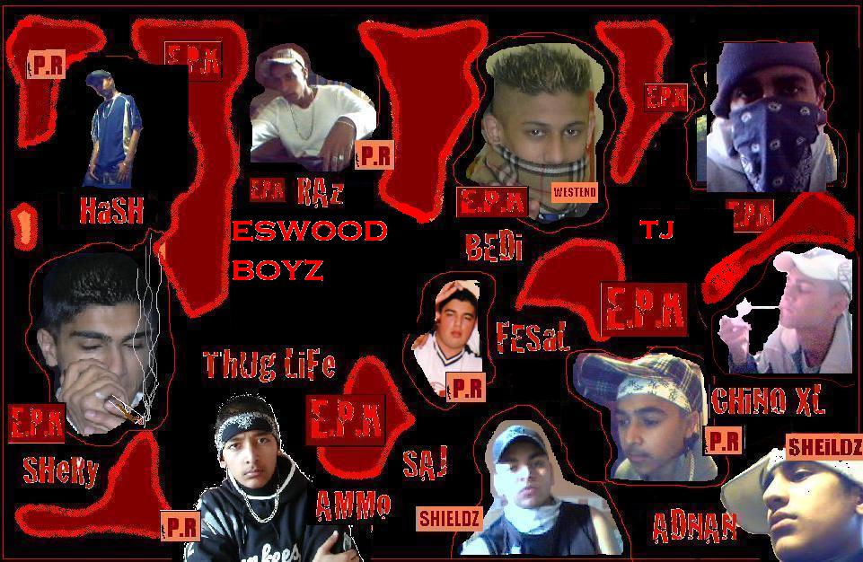 epk.jpg